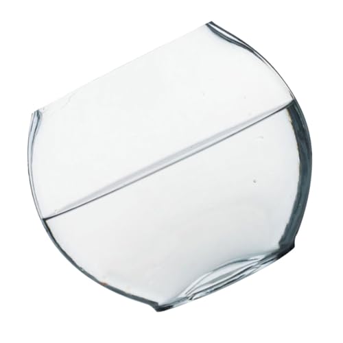 Garneck Tischaquarium Pflanztopf für Terrarium Pflanzen Flasche klares Fischbecken Behälter für Seerosen transparente Flasche Landschaftsbehälter Bürobedarf Glas Garneck Tischaquarium Pflanztopf für Terrarium Pflanzen Flasche klares Fischbecken Behälter für Seerosen transparente Flasche Landschaftsbehälter Bürobedarf Glas von Garneck