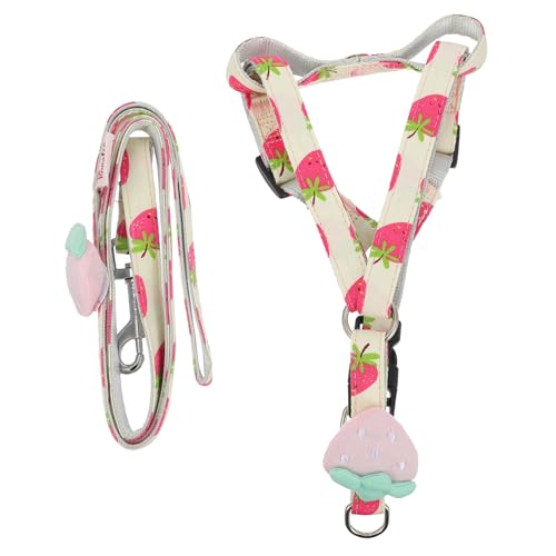 Garneck Verstellbare Haustierleine mit Frischem Obstdesign Breites Traktionsseil für Sichere Langlebig für Training Garneck Verstellbare Haustierleine mit Frischem Obstdesign Breites Traktionsseil für Sichere Langlebig für Training von Garneck