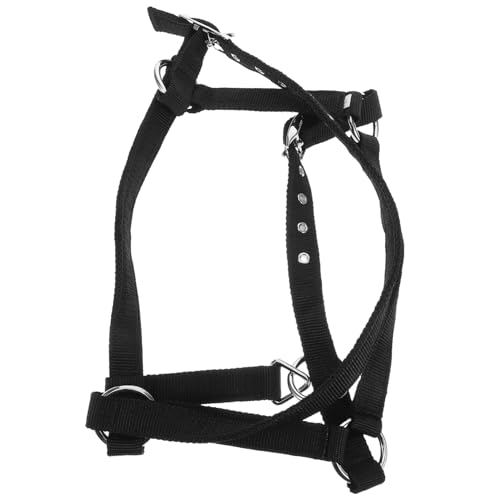 Garneck Verstellbares Pferdehalfter und Seilset Langlebigem Nylon Zubehör für Reitausbildung und Training mit Polsterung für Verschiedene Umgebungen Garneck Verstellbares Pferdehalfter und Seilset Langlebigem Nylon Zubehör für Reitausbildung und Training mit Polsterung für Verschiedene Umgebungen von Garneck