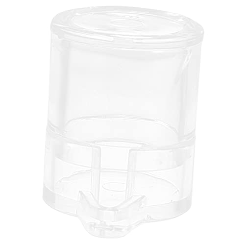 Garneck Wasserfutterspender für Ameisen Wassertränke für Ant Nest Leicht zu Installieren und Einfach zu Bedienen Zubehör für Ameisenfütterung Garneck Wasserfutterspender für Ameisen Wassertränke für Ant Nest Leicht zu Installieren und Einfach zu Bedienen Zubehör für Ameisenfütterung von Garneck