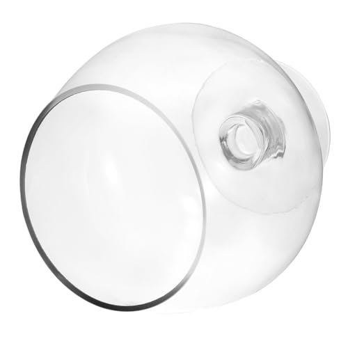 Garneck Weinglas-Aquarium Tischdekoration Aquariumzubehör aquaristik Glasbecher bürodekoration Krug Wasser Riese Sauerteig Fischbecken Pflanzen empfindliches Aquariumbecken Transparent Garneck Weinglas-Aquarium Tischdekoration Aquariumzubehör aquaristik Glasbecher bürodekoration Krug Wasser Riese Sauerteig Fischbecken Pflanzen empfindliches Aquariumbecken Transparent von Garneck