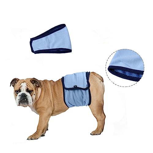 Garneck Windelhose Für Weibchen Waschbare Physiologische Shorts Xs Für Läufigkeit Inkontinenz Untrainierte Welpen Schützend Bequem Garneck Windelhose Für Weibchen Waschbare Physiologische Shorts Xs Für Läufigkeit Inkontinenz Untrainierte Welpen Schützend Bequem von Garneck