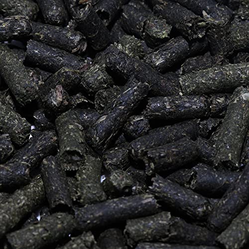 GT Futtersticks Spitzwegerich Garnelen-, Krebs- und Schneckenfutter, 40 g von Garnelen Tom