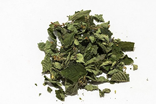Nano Haselnusslaub (grün getrocknet), 20 Blätter - Garnelenfutter von Garnelen Tom