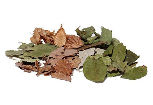 Nano Laubmix, 6-teilig - Garnelen- Wasserschnecken- und Krebsfutter von Garnelen Tom