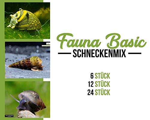 Garnelen Schnecken Mix - Fauna Basic - Aquarium Schnecken - Bodenpflege Trupp, Menge:12 STK. von Garnelen
