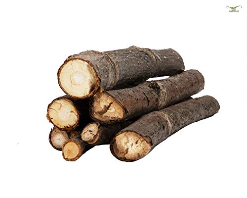 Kastanien-Äste 7st. - 10cm Lecker & Dekorativ Aquarium Krebse Garnelen Schnecken Futter von Garnelio Naturprodukte