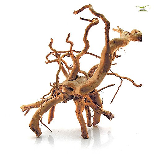 Spiderwood - Gr. S - L, Größe:M - 30-50 cm Spiderwood - Gr. S - L, Größe:M - 30-50 cm von Garnelio
