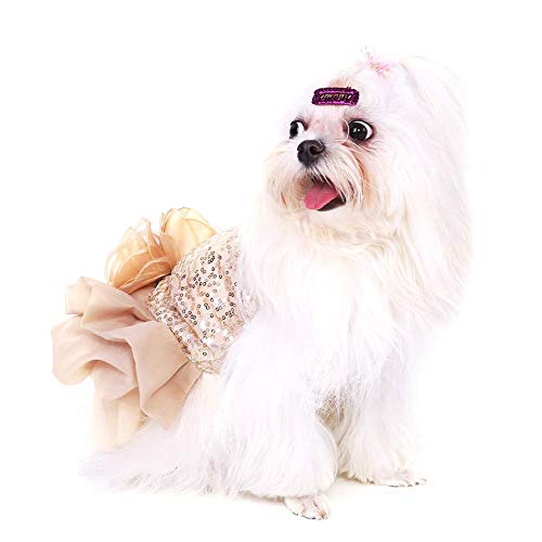 Hundekleid Haustier Kleine Hund Kleidung Pailletten Seidige Tutu Welpen Kostüm Hund Prinzessin Elegant Rock Hochzeit Kostüm (Gold M) von Garosa