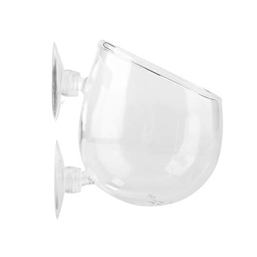 Kristallglas Wasserpflanze Tasse Topflappen Fashionclubs Aquarium Live-Pflanze Glas Anbau Becken Rote Garnelenhalter mit 2 Sauger Aquarium Zubehör Kristallglas Wasserpflanze Tasse Topflappen Fashionclubs Aquarium Live-Pflanze Glas Anbau Becken Rote Garnelenhalter mit 2 Sauger Aquarium Zubehör von Garosa