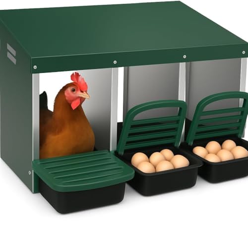 Garvee Metall Nistkasten Hühnernest Mit 3 Abteile Auffangschalen Hühnerstall 80x52x47Cm, Stabiler Und Korrosionsbeständiger, Bodenlöchern Und Ruheplattform Passend Für Verschiedene Hühnerrassen Grün Garvee Metall Nistkasten Hühnernest Mit 3 Abteile Auffangschalen Hühnerstall 80x52x47Cm, Stabiler Und Korrosionsbeständiger, Bodenlöchern Und Ruheplattform Passend Für Verschiedene Hühnerrassen Grün von Garvee