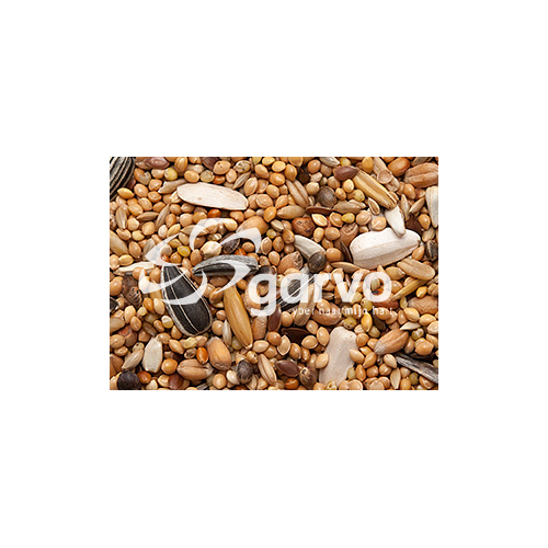Garvo Grobes Sittichfutter - 2 kg Garvo Grobes Sittichfutter - 2 kg von Garvo