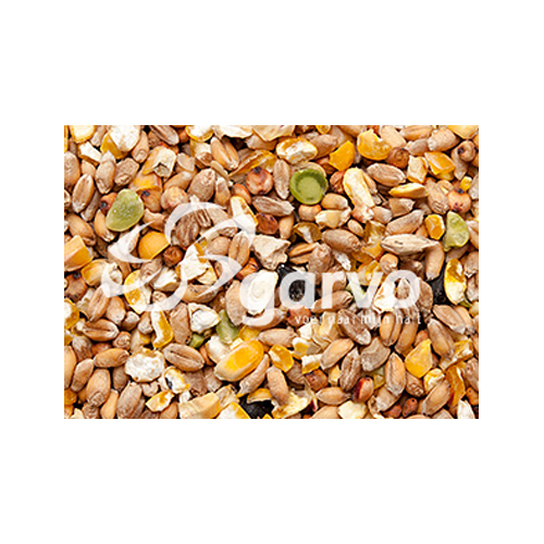 Garvo Scharrkorn (ohne Gerste) - 4 kg von Garvo