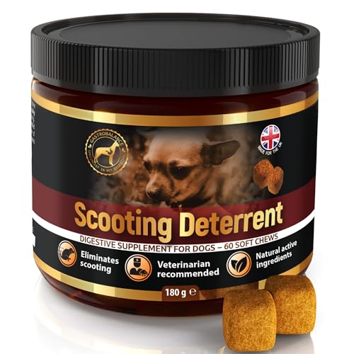 GastroBalance Anti Scooting Hunde – 60 weichen kausnacks kein Scoot Hunde 100% natürliche wirkstoffe (Bacon-Geschmack) von GastroBalance