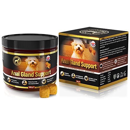 GastroBalance Gesunde Analdrüsen Hund – 60 weichen Kausnacks Anal Drüsen Hund 100% natürliche Wirkstoffe (Bacon-Geschmack) von GastroBalance