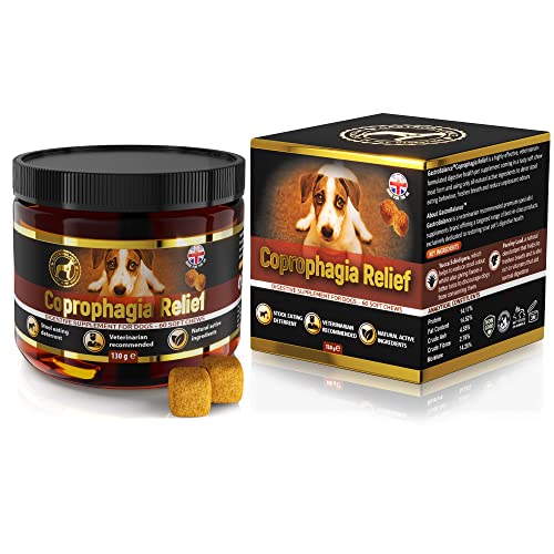 GastroBalance koprostop Hund – 60 weichen kausnacks koprophagie Hund um den Hund Davon abzuhalten KOT zu fressen (Bacon-Geschmack) von GastroBalance