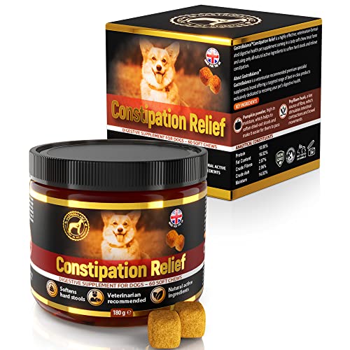 GastroBalance Linderung von Verstopfung beim Hund – 60 weichen Kausnacks Abführmittel für Hunde 100% natürliche Wirkstoffe (Bacon-Geschmack) von GastroBalance