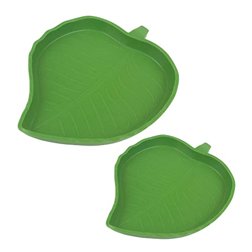 Gativs Blatt Reptilienschale 2 Stück Reptilien Schildkröte Futternapf Blatt Trinkschale Wasserschale Flach Trinkschale Terrarium Trinkschale Lebensmittel Wasser Bowl Reptilien Wasserschale 2 Größen Gativs Blatt Reptilienschale 2 Stück Reptilien Schildkröte Futternapf Blatt Trinkschale Wasserschale Flach Trinkschale Terrarium Trinkschale Lebensmittel Wasser Bowl Reptilien Wasserschale 2 Größen von Gativs