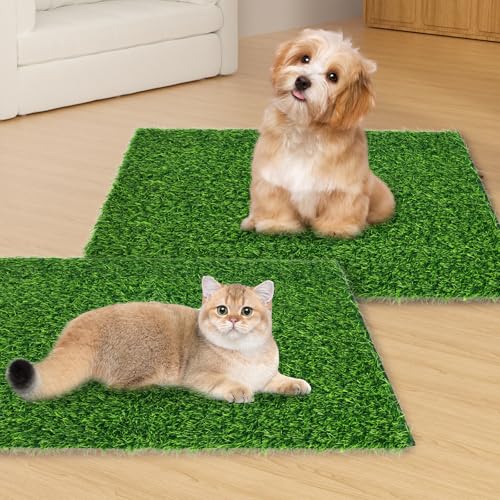 Hundetoilette Gras 2 Stück 50x80cm Hundeklo Weich Langlebig Kunstrasen Outdoor für Hundetraining Wohnung Zuhause Balkon Große Kleine Hunde von Gatphy