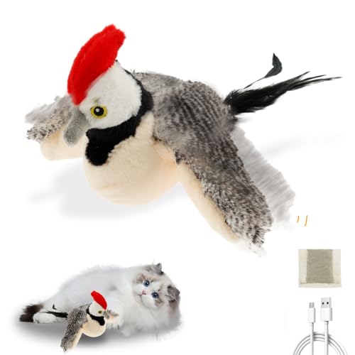 Katzenspielzeug Vogel Flattern Elektrisch USB - Große Größe 24 * 23 * 6CM - Vogeljagd Katzenspielzeug Fliegender Vogel mit Katzenminze - Vogelgeräusche Weich Langlebig Abnehmbar Katzenspielzeug Vogel Flattern Elektrisch USB - Große Größe 24 * 23 * 6CM - Vogeljagd Katzenspielzeug Fliegender Vogel mit Katzenminze - Vogelgeräusche Weich Langlebig Abnehmbar von Gatphy