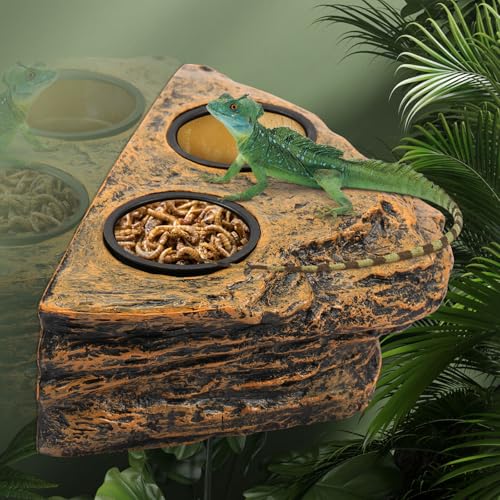 Reptilien Wasserschale Magnetische Wandhalterung Bartagame Zubehör Doppelschüssel Imitation Natürlicher Textur für Geckos Eidechsen Schildkröten Spinnen Chamäleons Schlangen von Gatphy