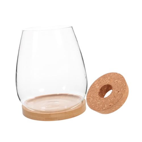 Gatuida 1 Satz Terrarium Glasflasche für Hydroponische Pflanzen DIY Landschaftsflasche für Tischdekoration Lochdeckel und Driftwood für Blumen und Moos Kreative Deko für Wohnzimmer und von Gatuida