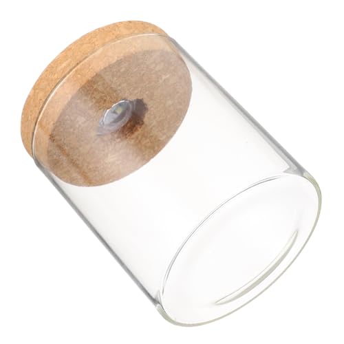Gatuida 1 Stück Landschaftsflasche klein Pflanze Terrarium Glas Aquarium Aquarium Terrarienglas live led ligts led-Light Glasflasche mit Deckel Landschaftsbastelflasche Holz Weiß von Gatuida