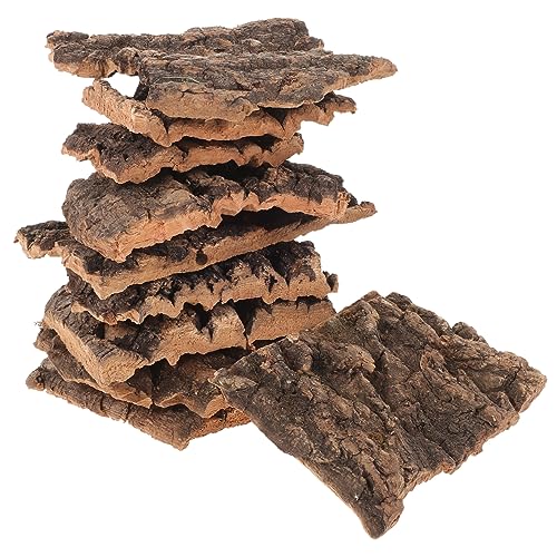 Gatuida 10 Stück Dekoration aus Champagnerrinde Baumrinde für Reptilien bellen Terrarium zubehör Terrarium Dekoration Gecko glasbehälter Kletterplattform für Reptilien Terrarienbaumrinde von Gatuida