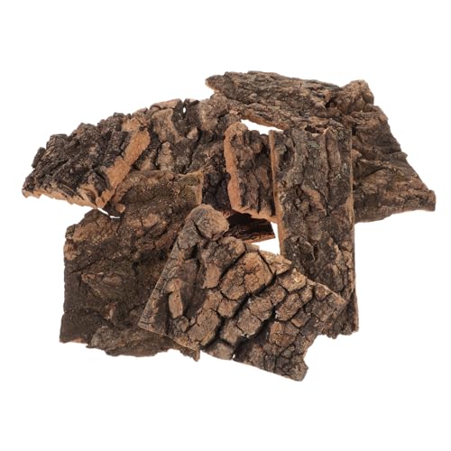 Gatuida 10 Stück Dekoration aus Champagnerrinde Stümpfe Rampe zum Sonnenbaden für Schildkröten Terrarium zubehör Terrarium Dekoration Pflanzen Terrarium glasbehälter Terrarienbaumrinde von Gatuida