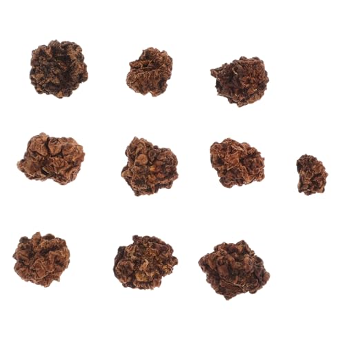 Gatuida 10Stücke Haustier Kauspielzeug Aus Sicheres Und Lustiges Kau Für Katzen Und Fördert Zahnpflege Und Spielspaß Für Haustiere Gatuida 10Stücke Haustier Kauspielzeug Aus Sicheres Und Lustiges Kau Für Katzen Und Fördert Zahnpflege Und Spielspaß Für Haustiere von Gatuida