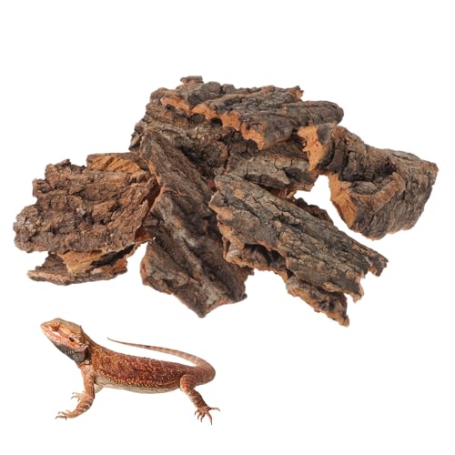 Gatuida 14 Stück Tier Versteckte Hütte Haustier Zubehör Reptilien Plattform Zucht Verstecken Gecko Tankvorräte Terrariensubstrat Versteck Im Aquarium Rinde Light Brown von Gatuida