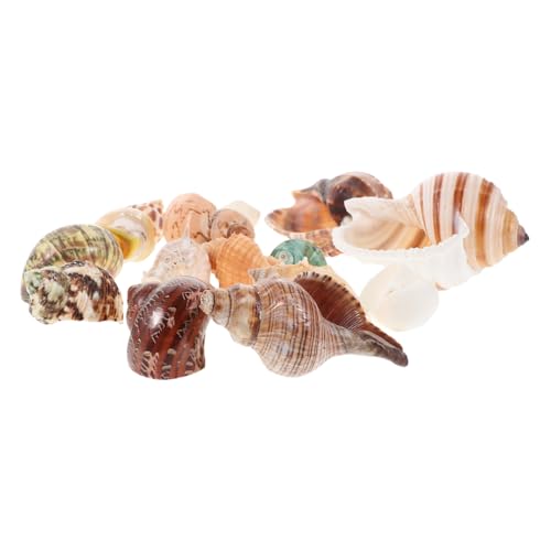 Gatuida 15 Stück Teiliges Meeresmuscheln für Aquarien Dekoration Natürliche Muscheln für DIY Basteln Strand Stil Party Zubehör für Meeresthemen Gatuida 15 Stück Teiliges Meeresmuscheln für Aquarien Dekoration Natürliche Muscheln für DIY Basteln Strand Stil Party Zubehör für Meeresthemen von Gatuida