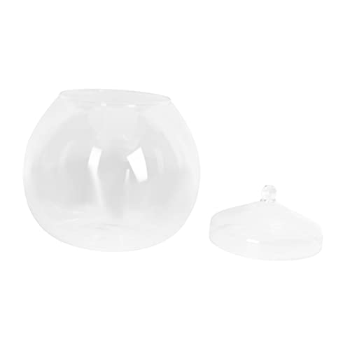 Gatuida 1Satz Mikrolandschafts Ökologieflasche DIY Terrarium Container Für Moos Und Pflanzen Leeres Glasgefäß Mit Zufälligem Deckelstil Für Tischdeko von Gatuida