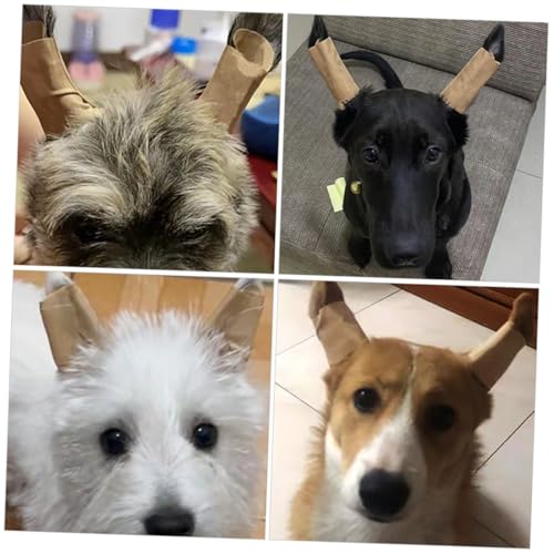 Gatuida 2 Paare Hund Ohr Stehhilfe Aufkleber Weiche Ohrstütze für Welpen Effektive Korrektur der Stehenden Ohren Praktisches Zubehör für Kleine Hunde Klebstofffrei Gatuida 2 Paare Hund Ohr Stehhilfe Aufkleber Weiche Ohrstütze für Welpen Effektive Korrektur der Stehenden Ohren Praktisches Zubehör für Kleine Hunde Klebstofffrei von Gatuida