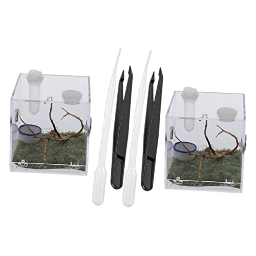 Gatuida 2 Sätze Klare Acryl Aufzuchtdose für Schnecken und Reptilien Springende Spinnen Terrarium mit Lüftung Beobachtungsbox für Kleine Insekten und Kriechtiere Inklusive Tropfpipette von Gatuida