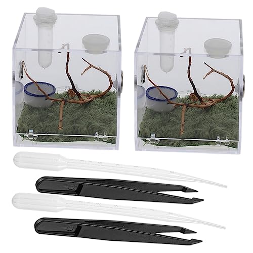Gatuida 2 Sätze Reptilien Fütterungsbox aus Robustem Acryl Transparentes Spinnen Terrarium mit Belüftung Praktische Aufzuchtdose für Springspinne und Kleine Wirbellose Langlebig und von Gatuida