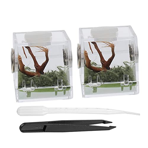 Gatuida 2 Satz Spider Habitat Box mit Belüftungslöchern Leichter Tragbarer Insektencontainer Sicherer Lebensraum für Kleine Springspinnen Transparentes Mikro Terrarium für Transport und Gatuida 2 Satz Spider Habitat Box mit Belüftungslöchern Leichter Tragbarer Insektencontainer Sicherer Lebensraum für Kleine Springspinnen Transparentes Mikro Terrarium für Transport und von Gatuida