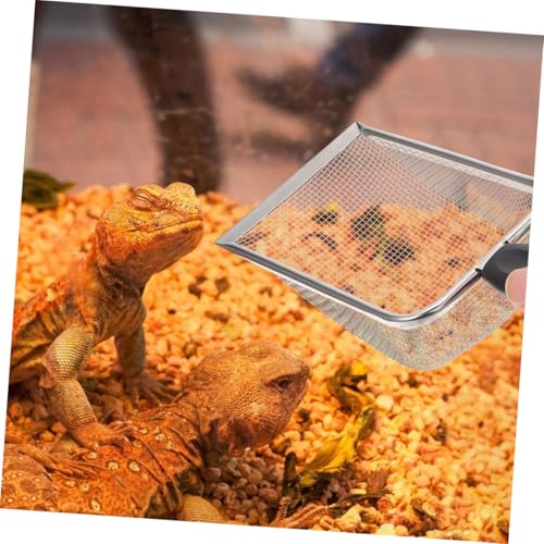 Gatuida 2 Stück Edelstahl Reptilien Schaufel Langlebig und Bruchfest Ergonomischer Griff Effektive Reinigung von Substrat und Ausscheidungen Praktische Sandschaufel für Terrarien und von Gatuida