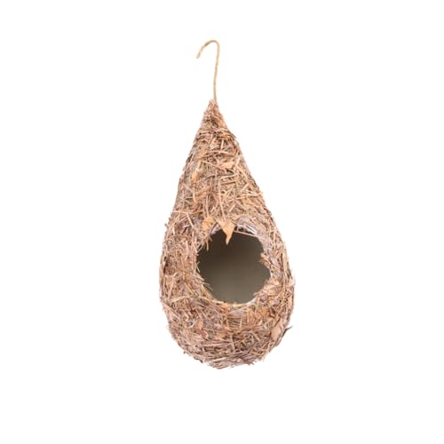 Gatuida 2 Stück Geflochtenes Vogel Nest aus Gras Natürliches Schlafplatz für Kanarienvögel und Kleine Vögel Handgefertigt Langlebig und Sicher Hängendes Vogelnest für Käfig und Garten Gatuida 2 Stück Geflochtenes Vogel Nest aus Gras Natürliches Schlafplatz für Kanarienvögel und Kleine Vögel Handgefertigt Langlebig und Sicher Hängendes Vogelnest für Käfig und Garten von Gatuida