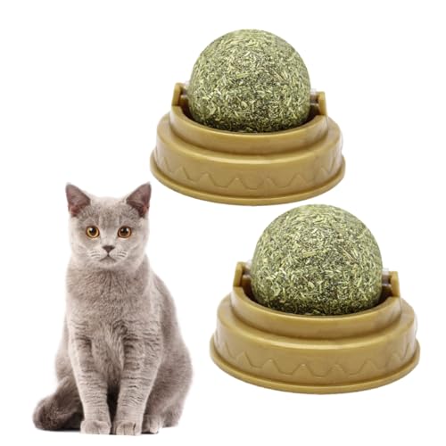 Gatuida 2 Stück Katzenminze Bälle mit Drehfunktion Zahnpflegende Kausticks Verdauung Sicherer Spielerischer Snack für Wohnungskatzen Fördert Gesunde Zähne und Mundhygiene Gatuida 2 Stück Katzenminze Bälle mit Drehfunktion Zahnpflegende Kausticks Verdauung Sicherer Spielerischer Snack für Wohnungskatzen Fördert Gesunde Zähne und Mundhygiene von Gatuida