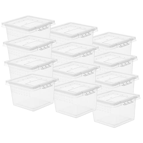 Gatuida 20er-Box Futterbox Für Haustiere Fütterung Reptil Schildkrötenhaus Vivarium Schildkrötengehege Wächter Zucht Schildkröten-Aquarium Klein Sprungspinnengehege Transparent Pp von Gatuida