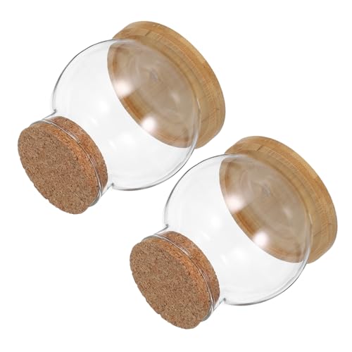 Gatuida 2Er Set Hydrokulturvase Mini Blumenhalter Aus Glas Kleines Betta Fischbecken Klare Glasschale Glas Betta Becken Hydrokulturpflanzen Terrarium Heimdekoration Fischbecken von Gatuida