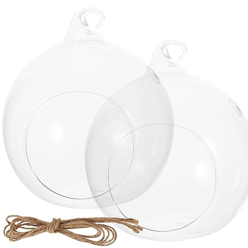 Gatuida 2Stücke Hängendes Terrarium Klare Glasvase für Luftpflanzen Sukkulenten zur Dekoration von Wohnzimmer Garten oder Büro Gatuida 2Stücke Hängendes Terrarium Klare Glasvase für Luftpflanzen Sukkulenten zur Dekoration von Wohnzimmer Garten oder Büro von Gatuida