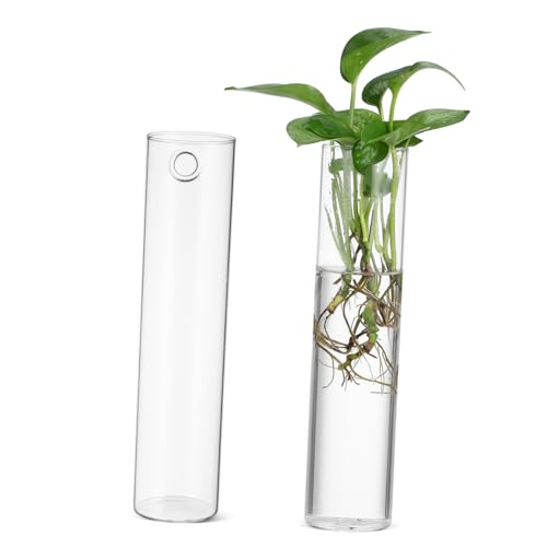 Gatuida Glas-anzuchtstationen 2 Wandvasen Für Zimmerpflanzen Transparentes Wandvasen-Set Terrarium-pflanzenhalter -pflanzenaufhänger von Gatuida