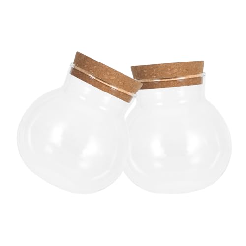 Gatuida 2pcs Glashydroponische Vasen Terrariumbehälter Für Kleine Pflanzen Klare Glasflaschen Für Wasserausbreitung Klare Hydroponikvase (480 Ml) von Gatuida