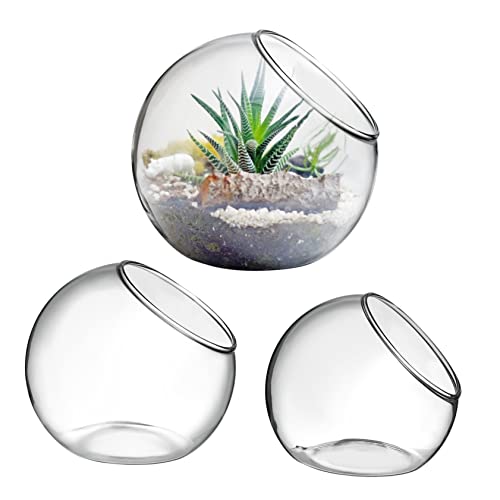 Gatuida 3 Stück Hydrokultur Moos Terrariengläser Terrarienbehälter Luftpflanze Bepflanzte Hydrokulturvase Tischpflanzen Terrarien Blumenvase Büro Selbstunterstellender Untersetzer von Gatuida