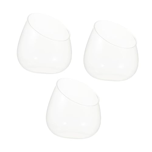 Gatuida 3 Stück Schräge Glasflasche Aquarium Saftiges Terrarium Mikrolandschaft Mit Flasche Kernstück Terrarienschale Sukkulenten Gefälscht Landschaft Terrarium Pflanzenterrarium Uv Groß von Gatuida