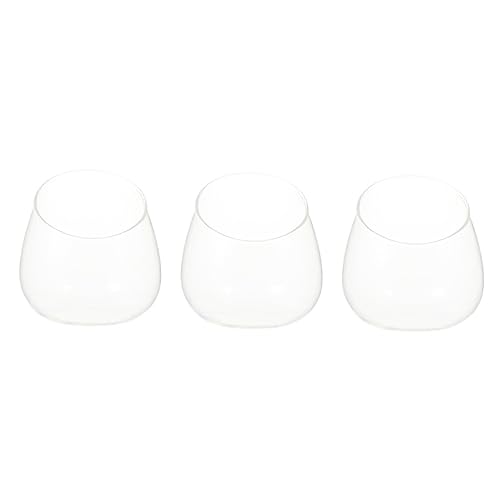 Gatuida 3 Stück Schräge Glasflasche Sukkulenten Dekorativ Landschaft Terrarium Aquarium Stilvoll Terrarienschale Mikrolandschaft Mit Flasche Saftiges Terrarium Pflanzenterrarium Schüsseln von Gatuida