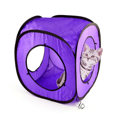 Gatuida 3 Stück Teiliges Kätzchen Katzentunnel Spielset mit Knisterpapier Faltbarer Doppelkanal Katzentunnel aus Stabilem Stahlrahmen Interaktives Katzenspielzeug Bewegung und Verstecken Gatuida 3 Stück Teiliges Kätzchen Katzentunnel Spielset mit Knisterpapier Faltbarer Doppelkanal Katzentunnel aus Stabilem Stahlrahmen Interaktives Katzenspielzeug Bewegung und Verstecken von Gatuida