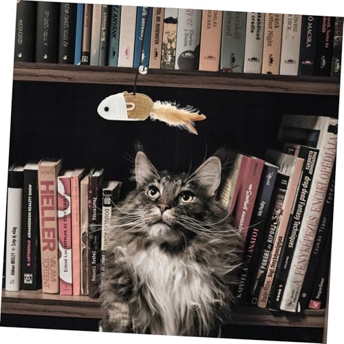 Gatuida 3 Stück Teiliges Katzen spielset aus Naturholz mit Glöckchen und Federn Interaktive Katzenspielzeuge für Haustiere Fördert Bewegung und Bindung Langlebiges Katzenspielzeug für Gatuida 3 Stück Teiliges Katzen spielset aus Naturholz mit Glöckchen und Federn Interaktive Katzenspielzeuge für Haustiere Fördert Bewegung und Bindung Langlebiges Katzenspielzeug für von Gatuida